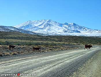 Volcán Domuyo, Neuquén