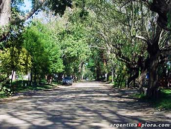 Calle de arena consolidad en Villa Gesell