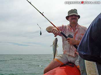 Pesca de lisas embarcados en Villa Gesell