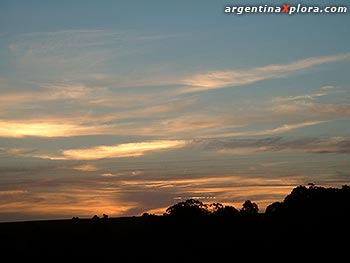 Puestos de venta de verdura