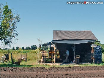 Puestos de venta de verdura