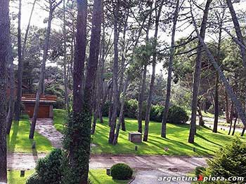 Calle en el bosque de Pinamar