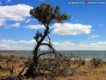 Parque Marino Costero Patagonia Austral