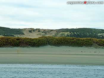 playa Puerto Pirámides