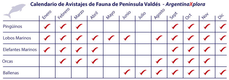 Calendario de avistajes de fauna de Península Valdés