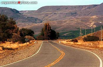 Ruta a Junín de los Andes