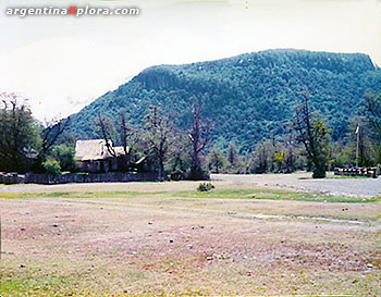 Pampa Linda - Casa de Manfredo