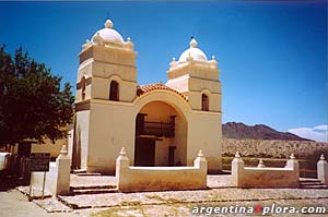 Iglesia de San Pedro de Nolasco de los Molinos