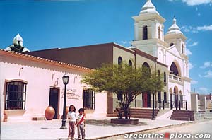 Iglesia de San Carlos Borromeo