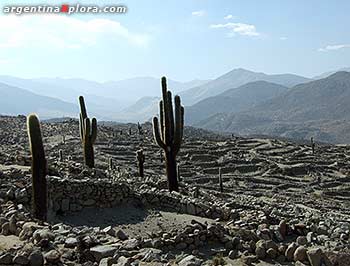 Paredes de pirca Ruinas de Tastil