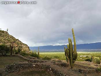 Ruinas de los Quilmes