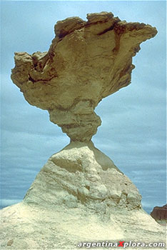 Valle de la Luna Ischigualasto