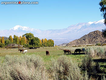 Acceso al Parque Nacional El Leoncito