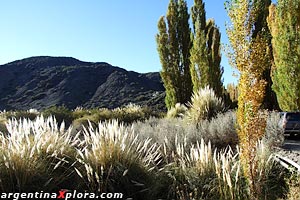 Reserva Natural Estricta El Leoncito