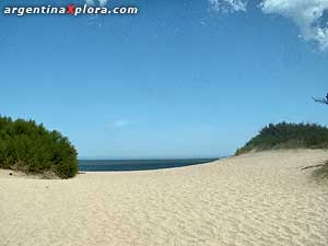 Dunes in Mar de las Pampas, Buenos Aires